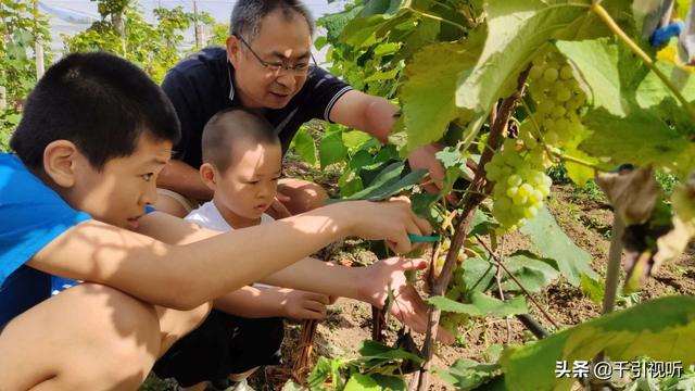 |北京休闲好去处｜春日农场葡萄园田间小课堂开课啦