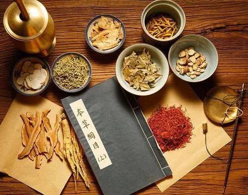 论中医药学理论真髓