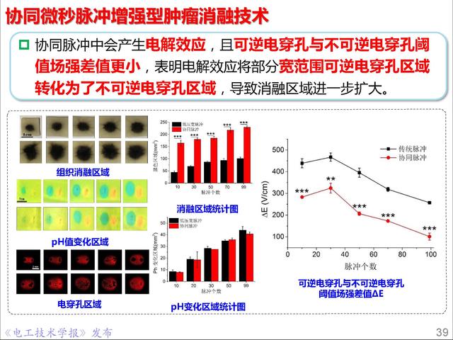 前沿技术报告｜重庆大学姚陈果教授：高压超短脉冲技术及应用