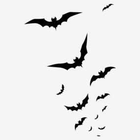 黑色蝙蝠动物卡通透明素材png搜索网 精选免抠素材 透明png图片分享下载 Pngss Com