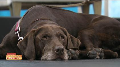 如果分离无法避免，请让我们好好告别