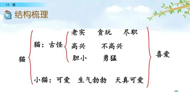猫生字拼音组词等知识点归类预习及练习