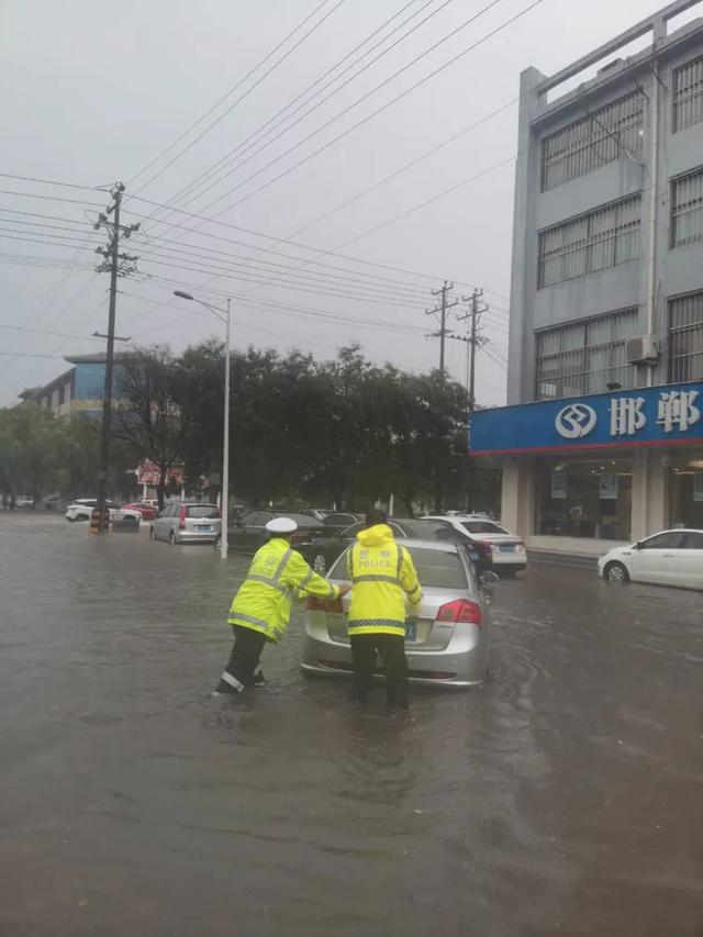 雨天的“航标” 水中的“灯塔”