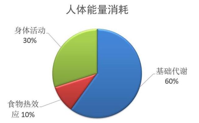 代謝水平下降，人易發福！3個方法提高身體代謝，促進身體燃脂