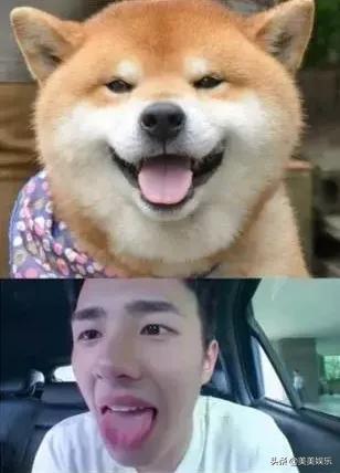 在线自夸？学员撞脸导师霸占热搜，他们竟这么