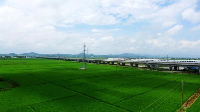 【示范区】宾阳县古辣香米产业核心示范区（五