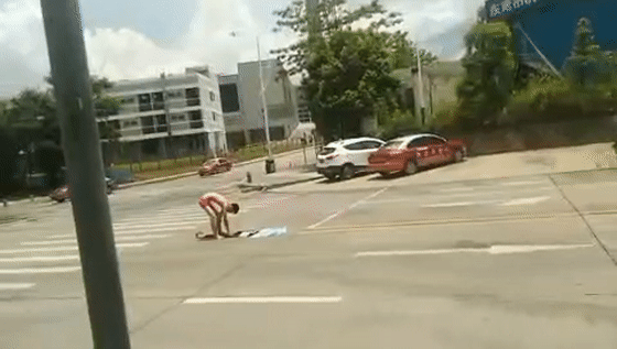 560_317gif 动态图 动图