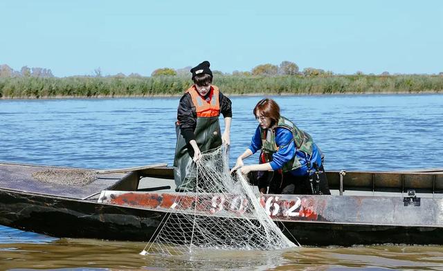 高分美食综艺强推，让人嘴馋到不行，手上的肉