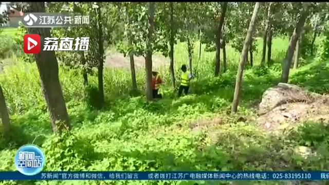 高温下的防汛坚守者：捕捉水情信息，确保度汛安全