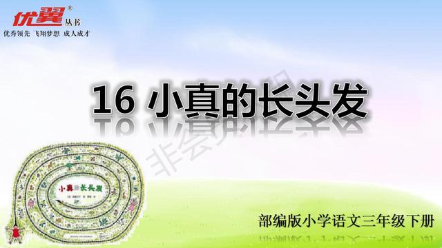 【小真的长头发】教学内容预习