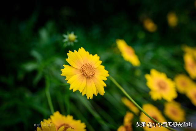 福州又一个摄影、散步好去处，一年四季都可赏