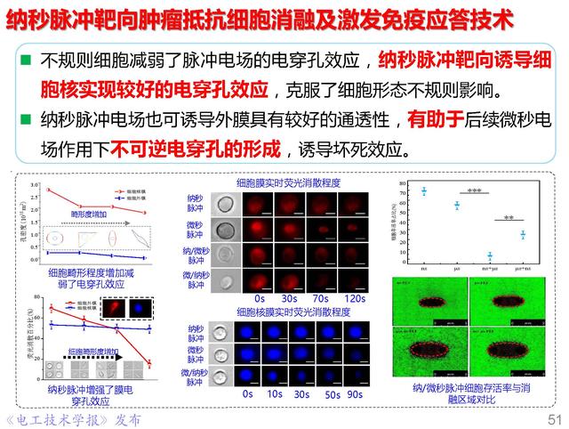 前沿技术报告｜重庆大学姚陈果教授：高压超短脉冲技术及应用