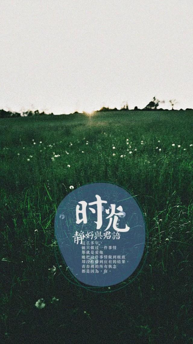 一段文字-岁月静好——文字的悲伤