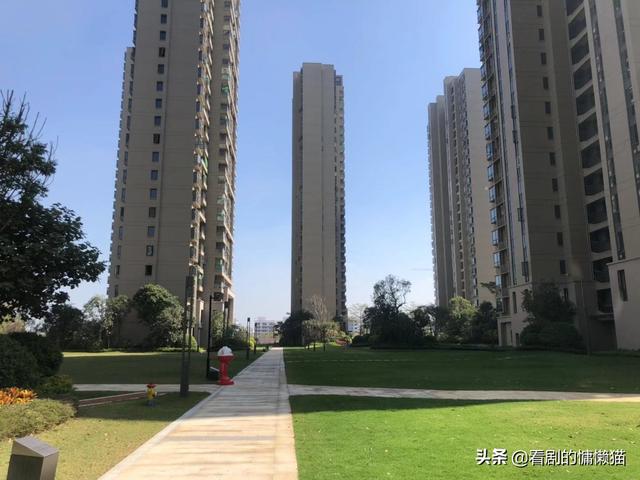 新力城一期实景曝光 这恐怕是水口绿化最好的盘了吧