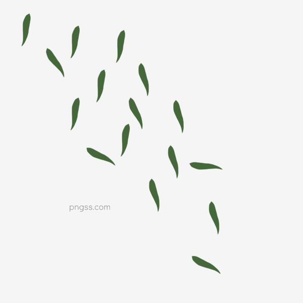 漂浮柳叶png素材png搜索网 精选免抠素材 透明png图片分享下载 Pngss Com