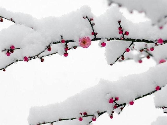 8a6840c626054ef78bd4ab38d46e9fac