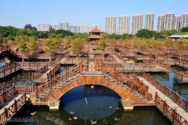 廈門這座公園足足有半個鼓浪嶼大你確定來過嗎