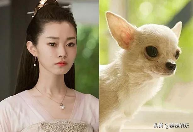 在线自夸？学员撞脸导师霸占热搜，他们竟这么