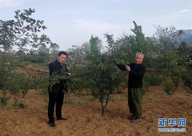 浏阳青草市贫困人口_浏阳青草医院图片(2)
