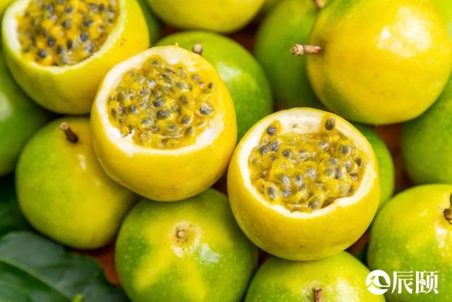 辰颐物语：黄金百香果竟然甜得像蜂蜜，美白还养颜