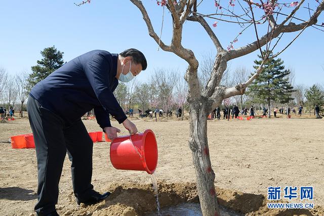 习近平参加首都义务植树活动(图9)