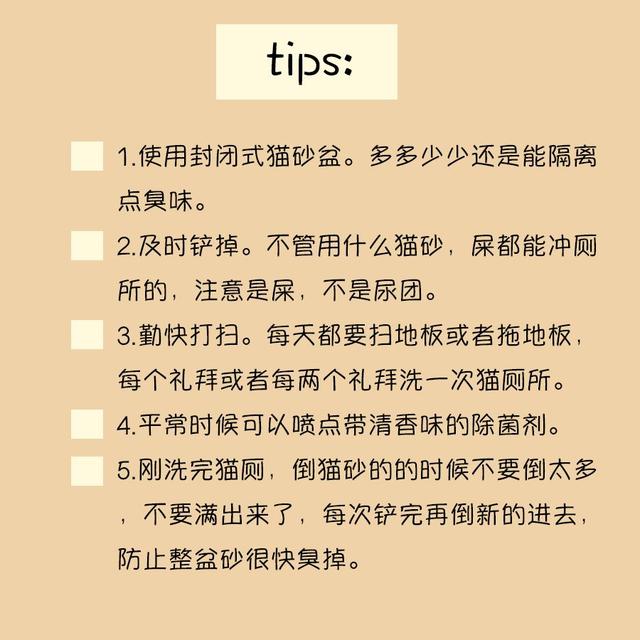 养猫的人如何选择一款好的猫砂？