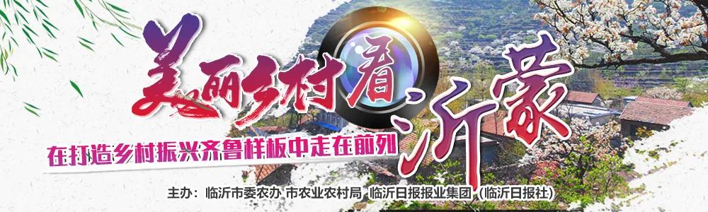 美丽乡村看沂蒙-走进费县