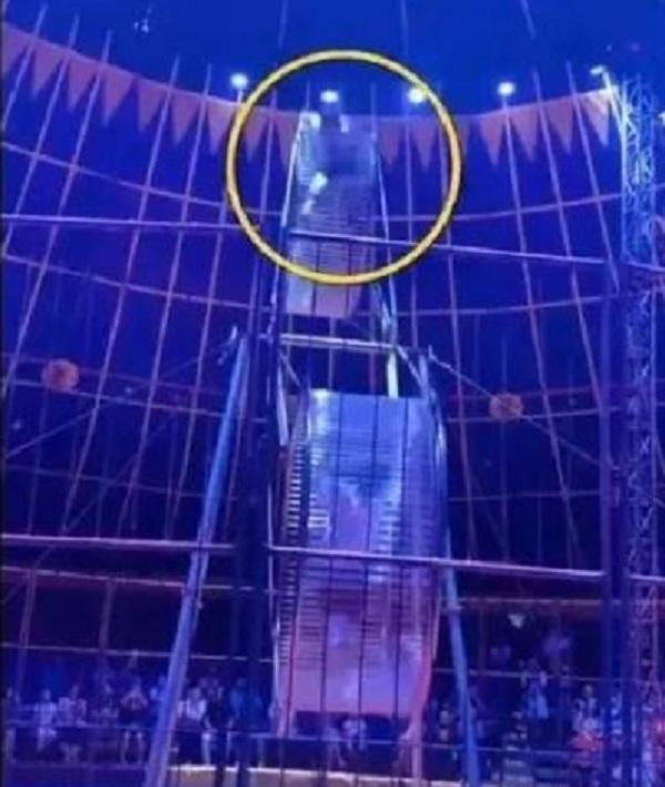 演员|身亡杂技演员家属不接受50万赔偿 只因有女儿要抚养