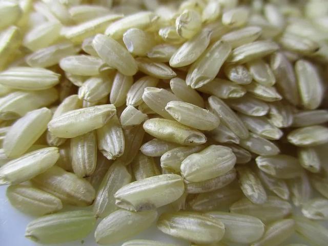 糙米真的有传说中那么健康吗？