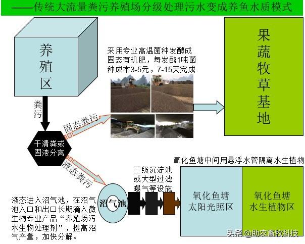 动物粪便干清粪通过微生物发酵成为固态有机肥→粪水进入沼气池,沼液