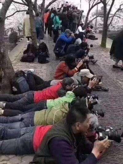 旗袍真的不是国服！一个字、三张图，让你看懂旗袍的前世今生