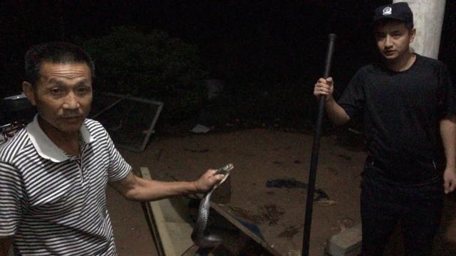 重庆|小心！这里有蛇！