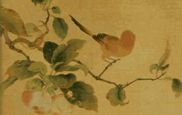 359_227gif 动态图 动图