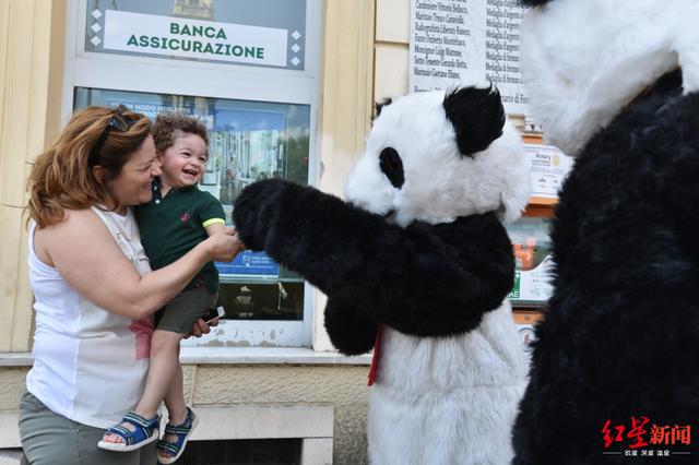 熊猫故乡的邀请丨“熊猫宝宝”那不勒斯街头跳起摇摆舞 引当地市民驻足围观