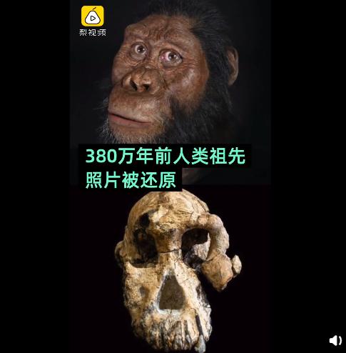 河南多地公布最新一批人事任免;博士做零风险手术后8