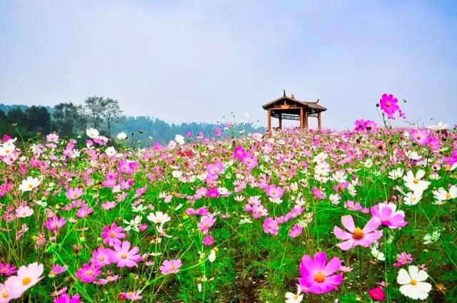 2020重庆旅行时间表出炉，赶紧收藏