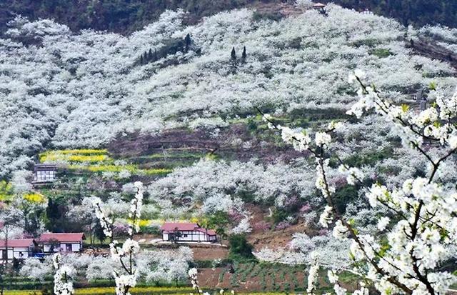 2020重庆旅行时间表出炉，赶紧收藏