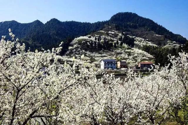 2020重庆旅行时间表出炉，赶紧收藏