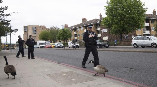 英国“解封”后：警察护送黑雁一家过马路、民众外出练太极拳