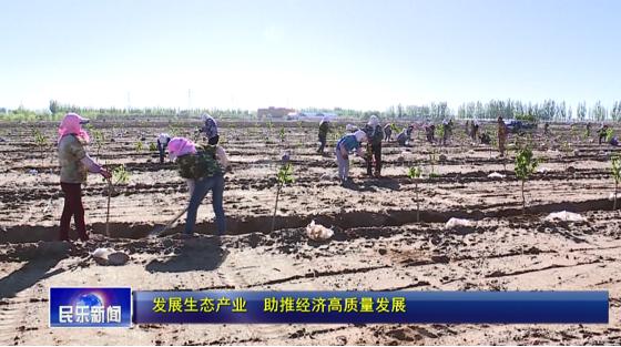 「发展生态产业 助推经济高质量发展」民乐县六