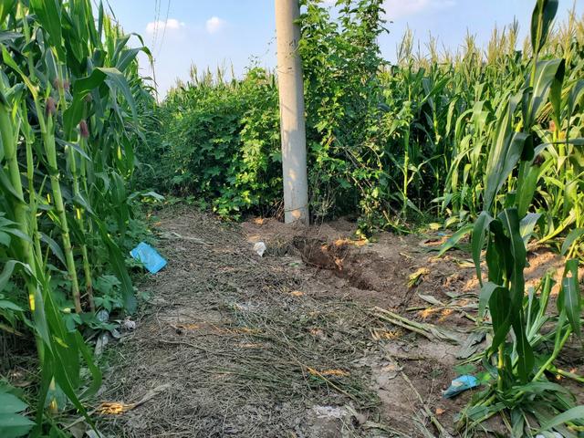 警方通报河北12岁女孩遭绑架杀害详情细节|警方通报河北12岁女孩遭绑架杀害详情细节！河北任丘13岁女孩遇害细节曝光最新消息 河北任丘女孩父亲发声