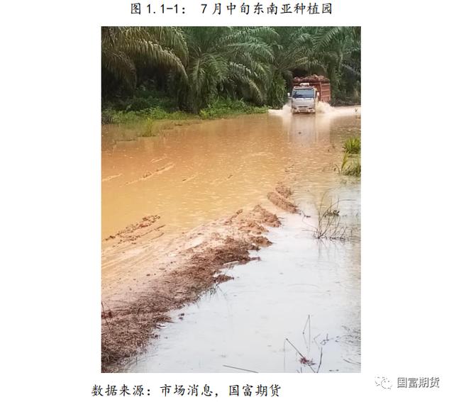 棕榈油：产量不容乐观 产地库存或维持低位