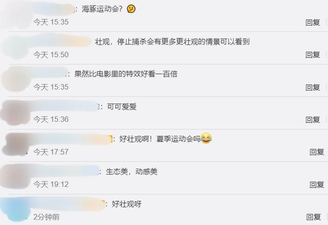 海豚：出海观鲸偶遇海豚群狂奔 乘风破浪的海洋精灵秒杀电影特效