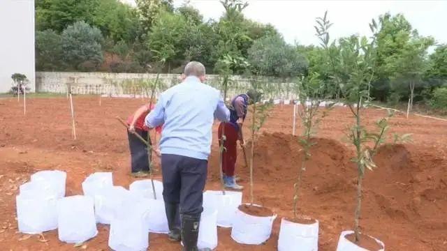 梅州平远：中医药产业助力脱贫攻坚