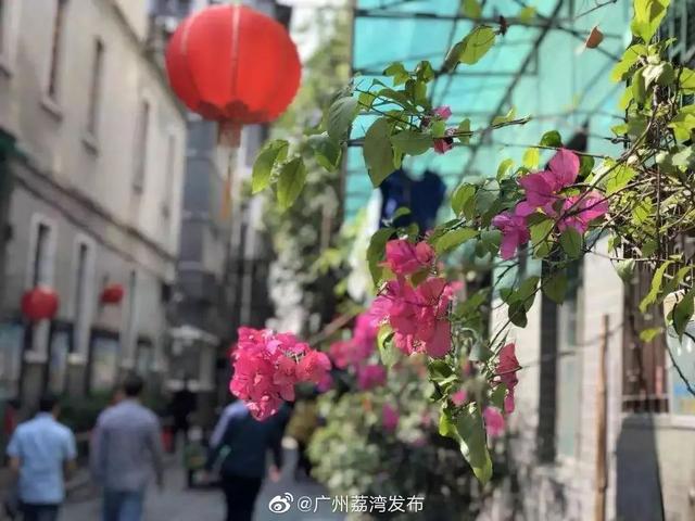 【一周热点】打造国家级医药健康综合试验区，荔湾这样做！茶滘城中村改造新动作，还有这些新闻→