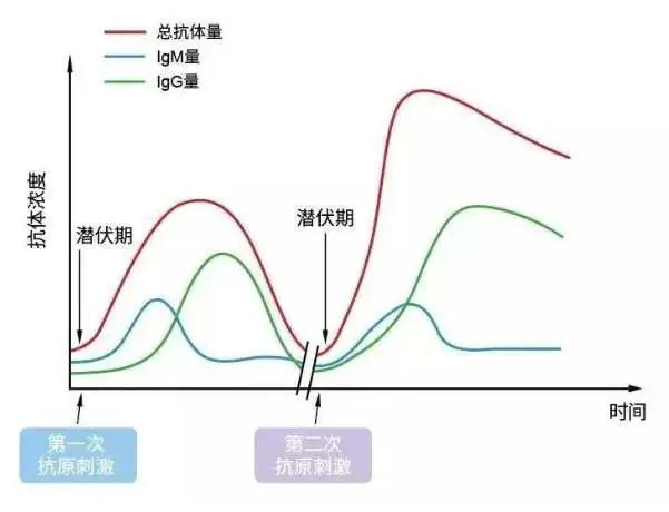 如果核酸检测不能百分百精准，谁来担纲神助攻？
