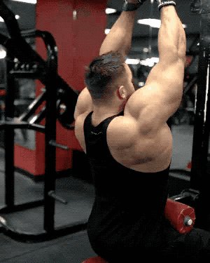 經典背部訓練，全面虐遍背部肌群，幫你打造強壯有力的背肌