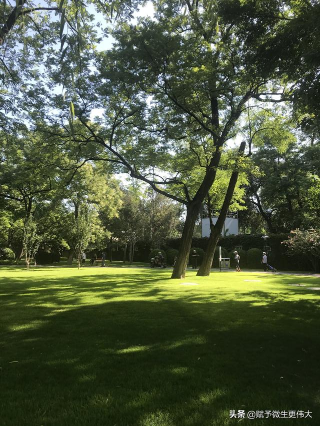 赋心谣——八月桂花遍地香