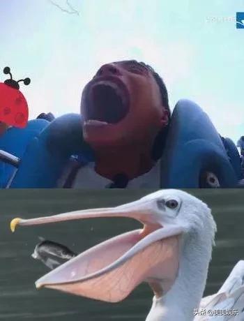 在线自夸？学员撞脸导师霸占热搜，他们竟这么