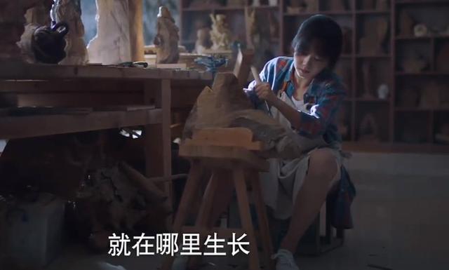《以家人之名》贺子秋回国不进家门，两点原因，一个心疼一个搞笑